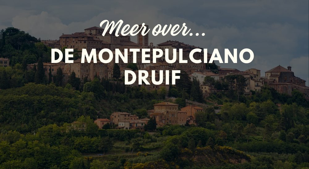 Montepulciano wijn - Luxury Grapes