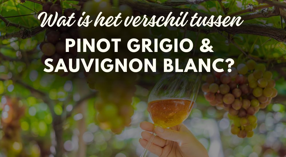 Ontdek de verschillen tussen Pinot Grigio en Sauvignon Blanc droge witte wijn en druif Luxury