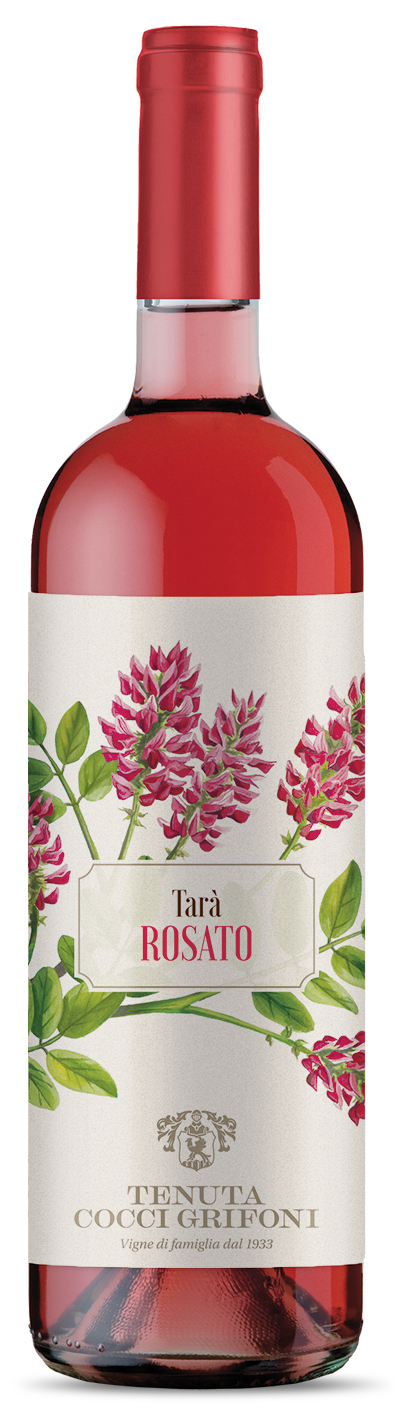Grifoni Rosato Tara 2023 luxury grapes utrecht