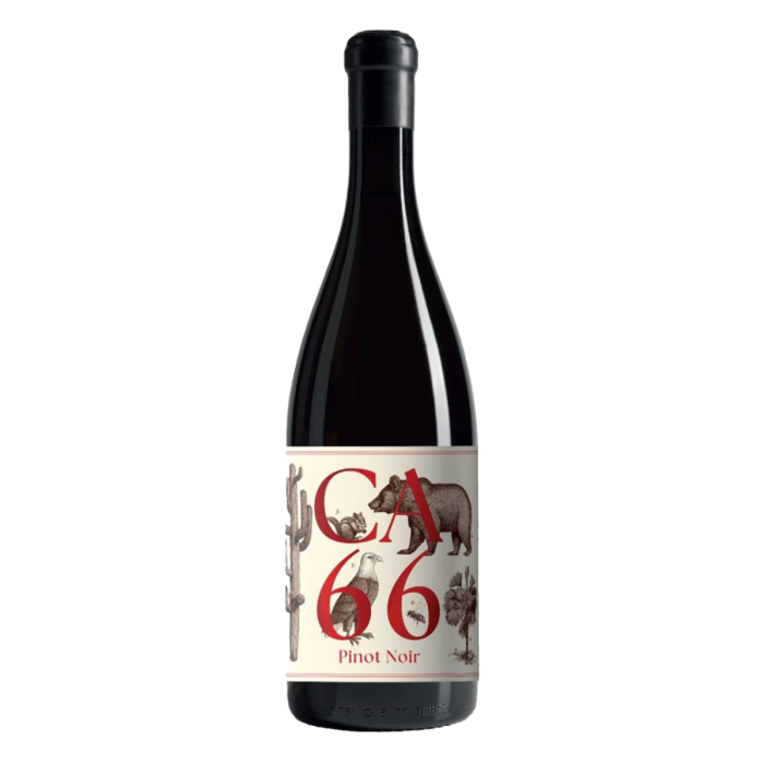 Weingut Hannes Sabathi, Südsteiermark DAC CA 66, Pinot Noir 2023 luxury grapes utrecht