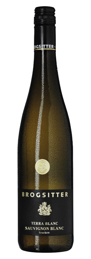 Brogsitter Terra Blanc Sauvignon Blanc Trocken - Luxury Grapes 2022