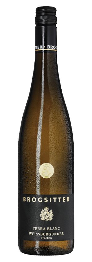 Brogsitter Terra Blanc Weissburgunder Trocken - Luxury Grapes