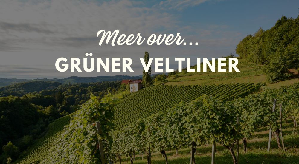 Grüner Veltliner: dé witte wijn van Oostenrijk - Luxury Grapes