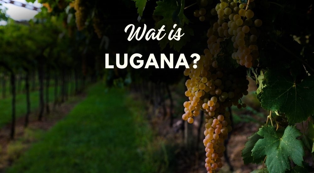 Lugana wijn - Luxury Grapes