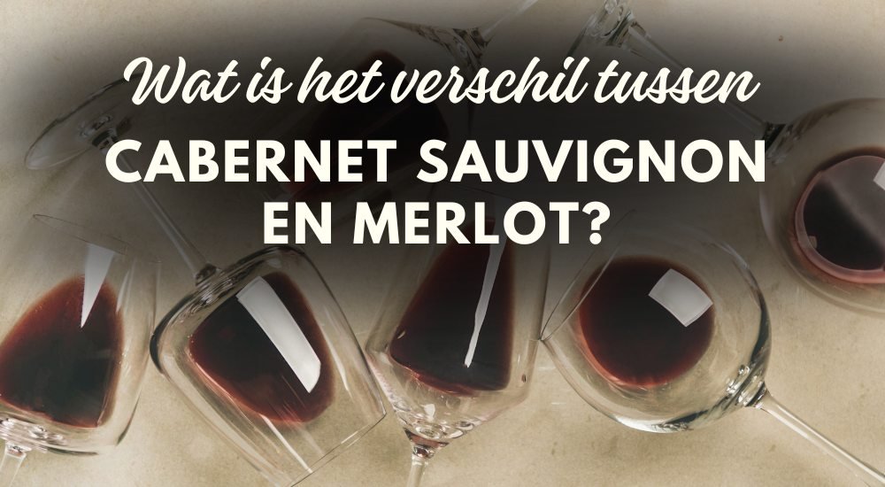 Wat is het verschil tussen Merlot en Cabernet Sauvignon? - Luxury Grapes