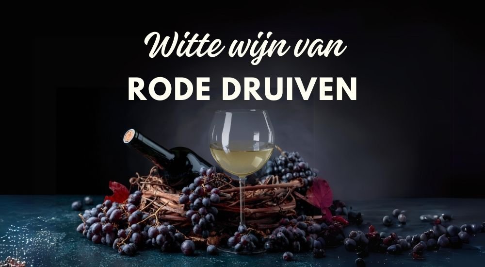 Witte wijn van rode druiven: dat kan! - Luxury Grapes