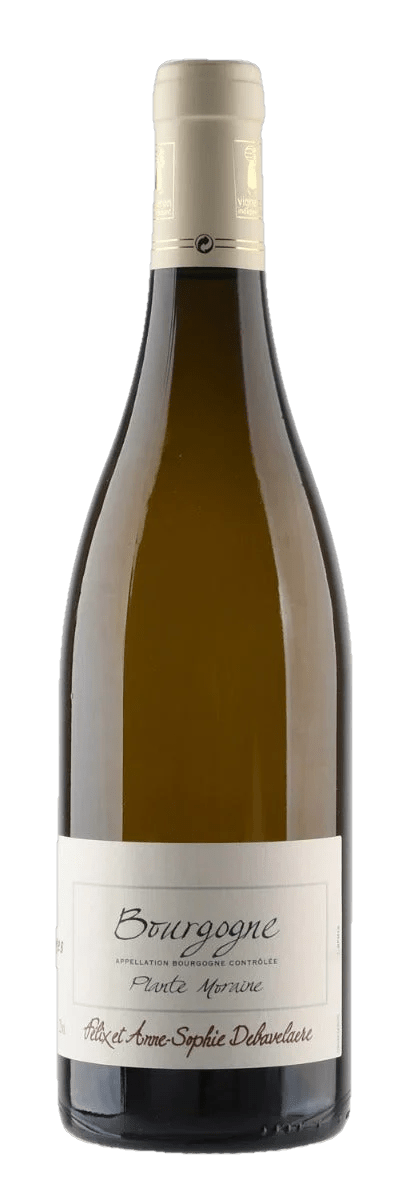 Domaine Rois Mages Bourgogne 2019 - Luxury Grapes